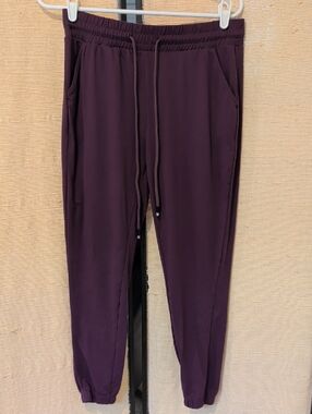 Amazon Women's Joggers in Plum